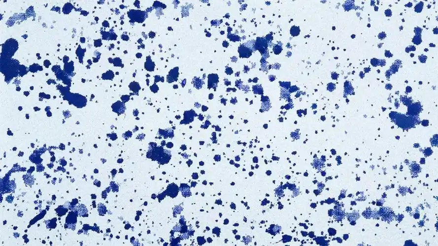 素色花纹背景图片-炫彩壁纸-高清炫彩图片-第12图-娟娟壁纸