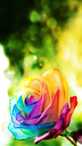 1024_1820竖版 竖屏