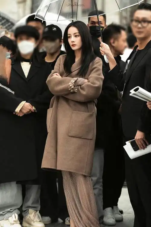 迪丽热巴驼色大衣造型也美了吧,这幅图简直美得像是一幅画一样.