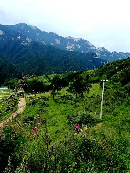 流峪寺草甸一日游