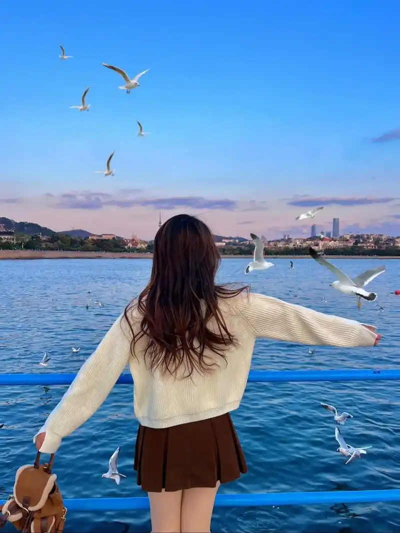 青岛栈桥已经有海鸥啦!