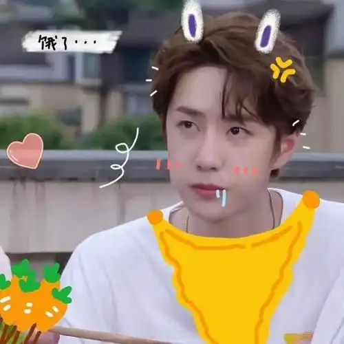 博君一肖表情包