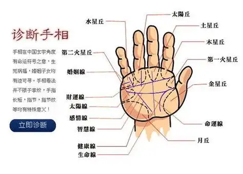 女人腹股沟有痣主富贵,屁股上有痣是怎么回事