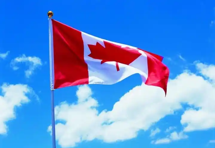 加拿大把枫叶作为国家的象征,人们把枫叶作为国徽,国旗正中绘有三片