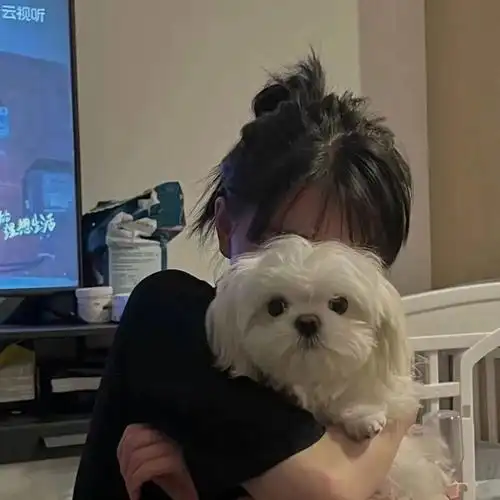 可爱背景图处女座女生真人 可爱女生背景图片少女心真人