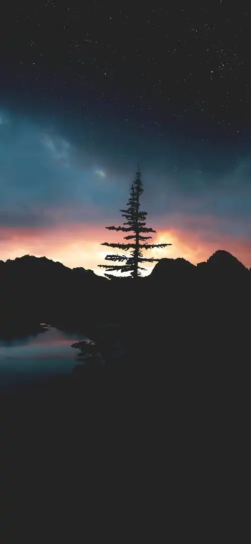 1080_2340竖版 竖屏