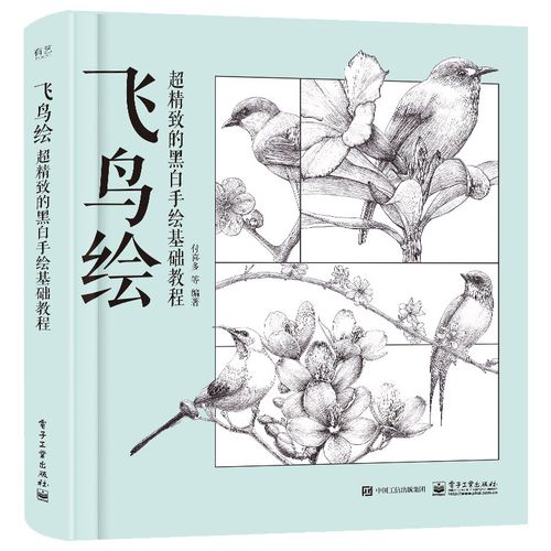 飞鸟绘 超精致的黑白手绘基础教程