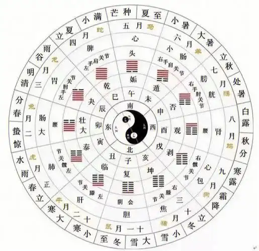 天地生两仪两仪生四象四象生八卦