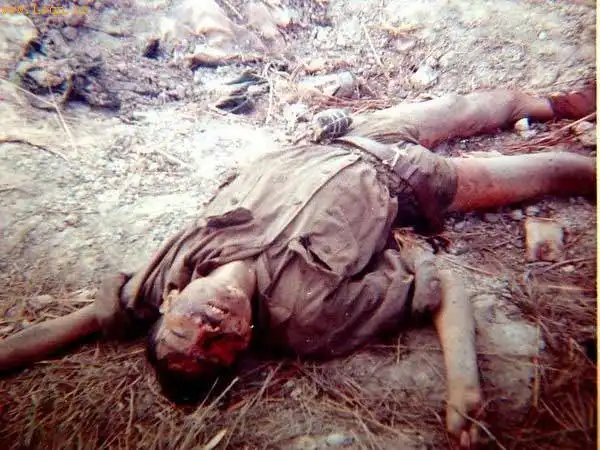 残酷越战的真实影像_战争图片_历史千年