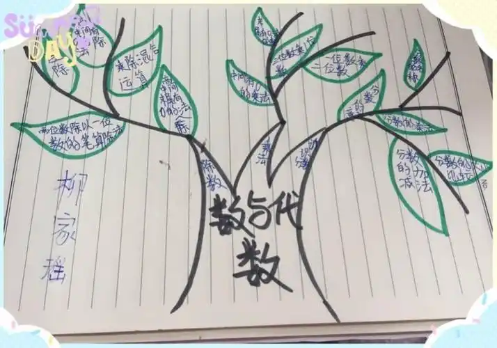 三(8)班孩子整理复习(数与代数)的思维导图