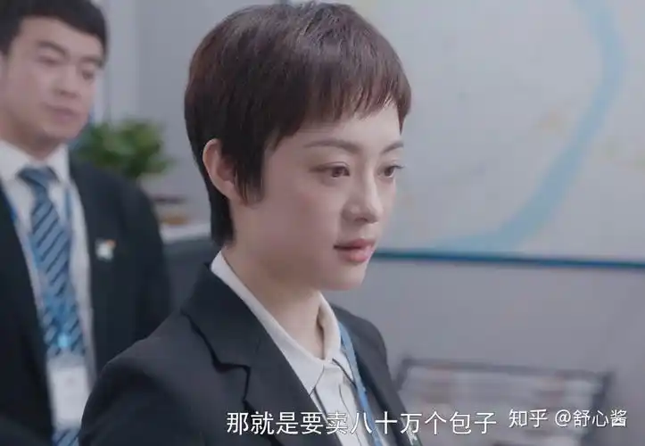 如何评价孙俪罗晋主演的电视剧安家