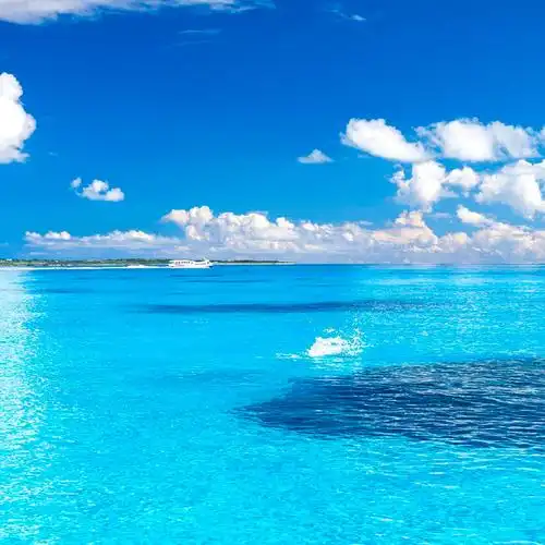 是时候换一张清爽的背景图降温了9006    背景图超话|#蓝色壁纸