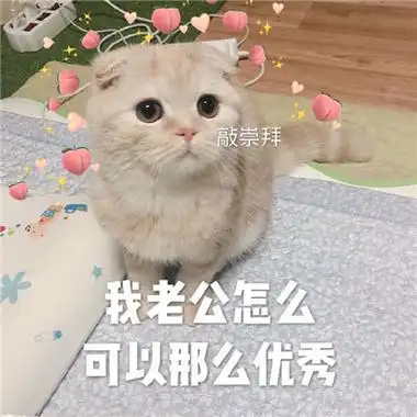 对老公撒娇卖萌的表情包要乖乖听老公话的表情包