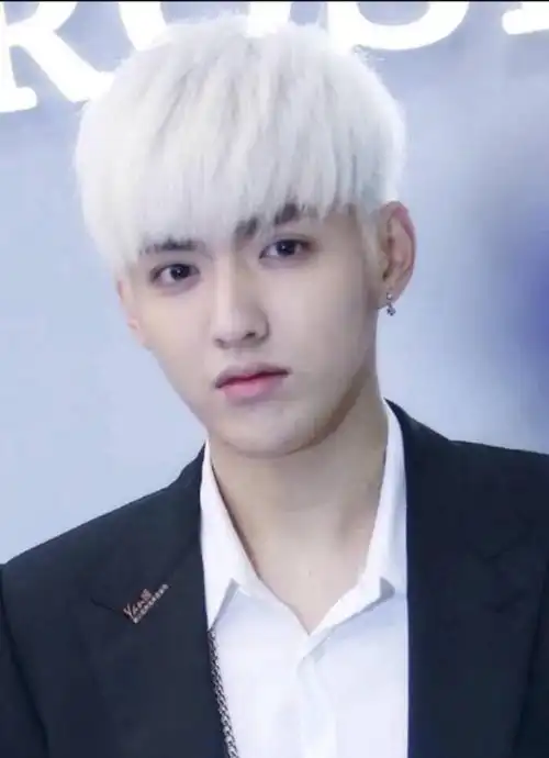 能抗住"白发"的男星真不多:肖战高级,吴亦凡浪漫,罗云熙惊艳