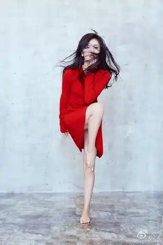 谢娜晒照自夸是超模 网友评论真是亮了