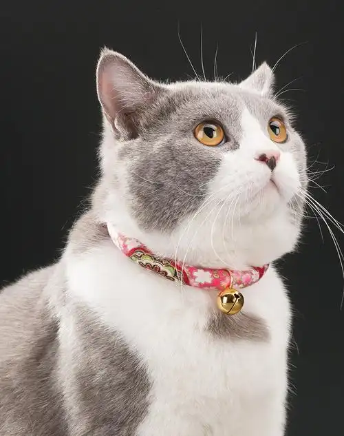 日本和风可爱猫咪多颜色多款式项圈猫铃铛猫项圈自主调节宠物用品