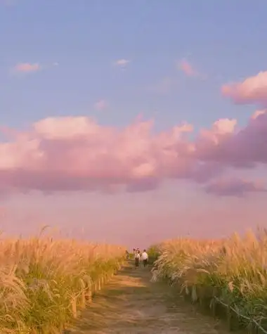 小猪佩奇秋天 - 高清图片,堆糖,美图壁纸兴趣社区