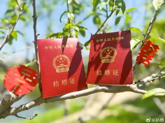 张豆豆回应"喜上眉梢~"孙杨发文"抬头见喜~"结婚照&结婚证照片官宣