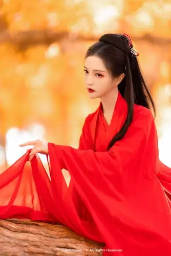 舞裳飞袖皆侠气,一袭红衣仗天涯.