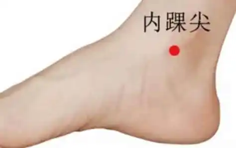内踝尖在哪准确位置图及作用