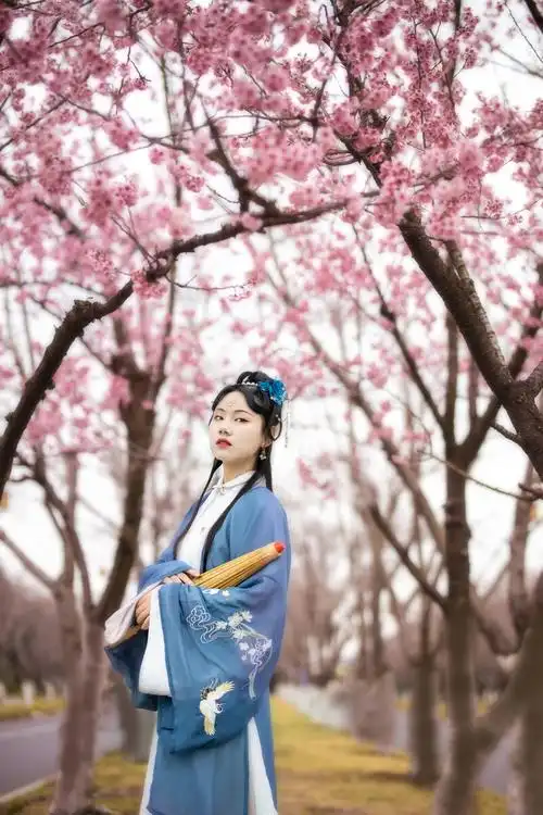 樱花古风 - 林枫316