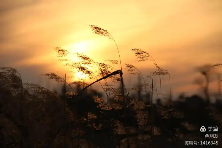 夕阳无限好,最美是黄昏.