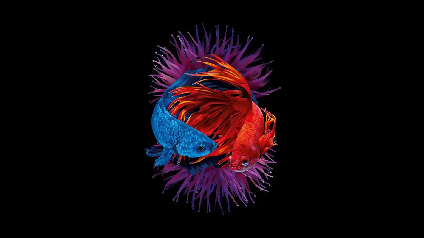 横屏高清壁纸,适用于ipad,电脑等,让人眼前一亮