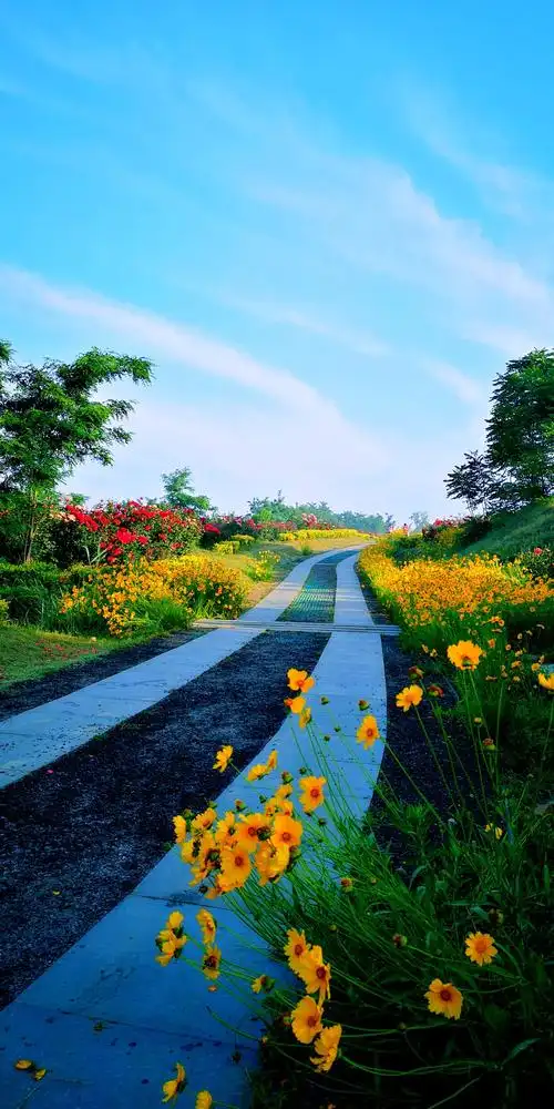 以马山之美景祝愿朋友们生活充满童趣童真童乐.