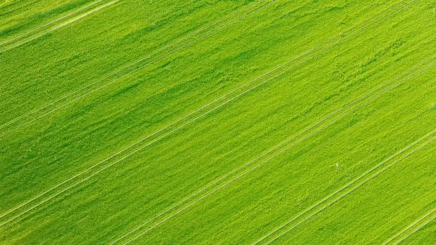 原图你的电脑分辨率(1600x1600)→生成壁纸显示:√欣赏模式全屏模式