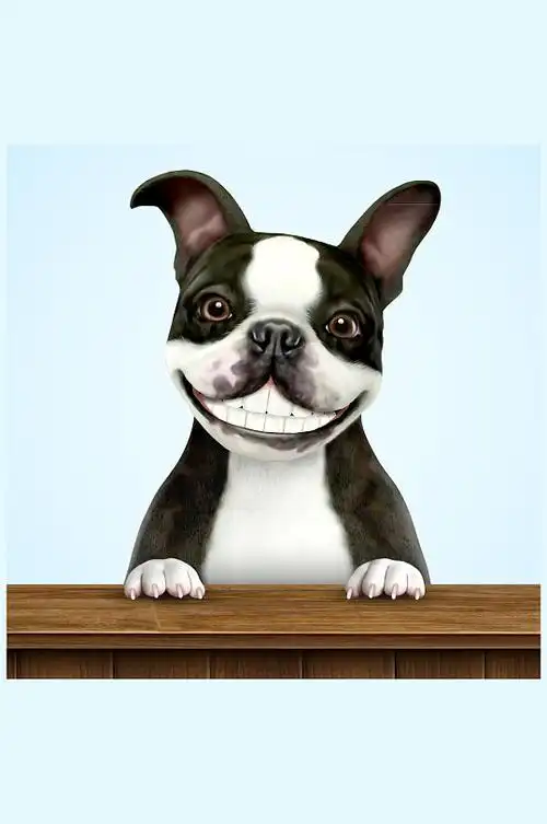 卡通露齿笑的法国斗牛犬矢量图-众图网