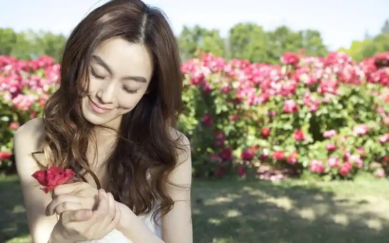 范玮琪图片桌面壁纸311