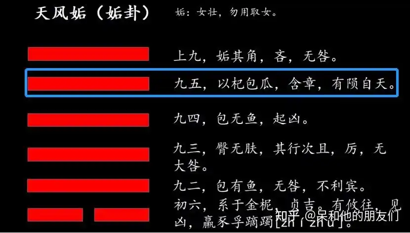 第44卦解读易经学会主宰感情天风姤gòu姤卦
