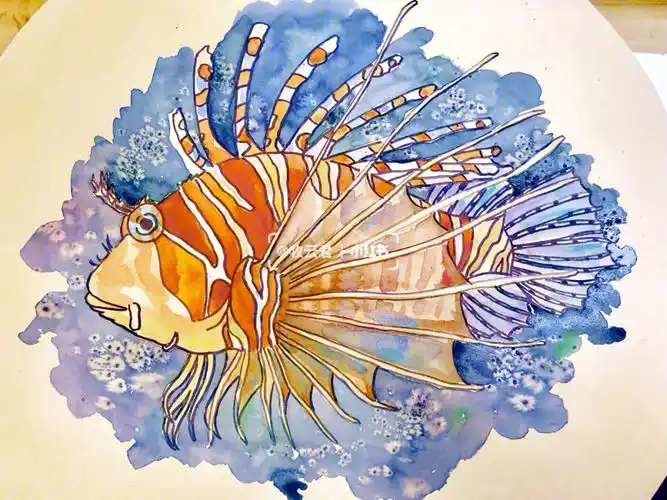 备课水彩线描狮子鱼