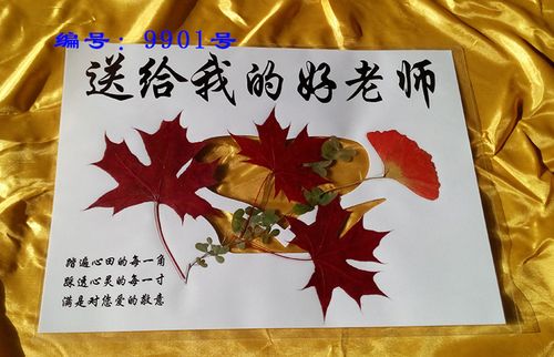 赠老师香山精品红枫叶贺卡片纯手工制作蝴蝶标本书签教师节感恩节