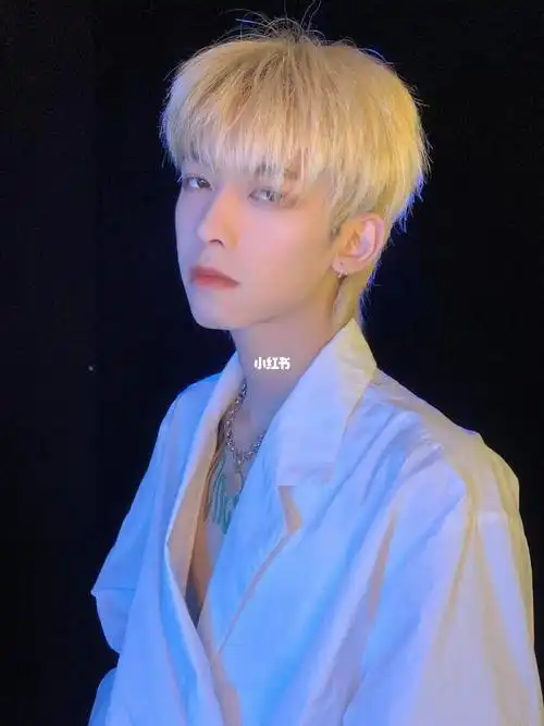 安利网红明星同款碎盖狼尾