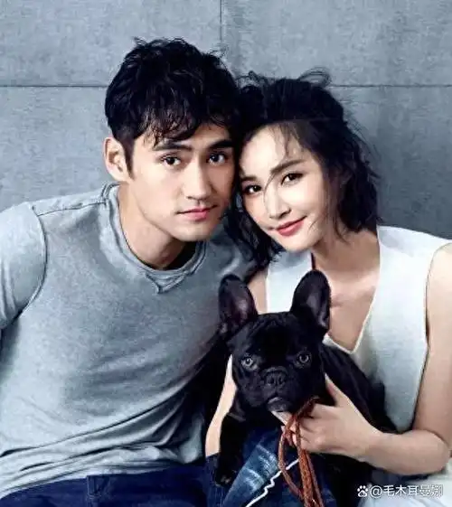 张歆艺与袁弘:一段闪闪发光的爱情故事