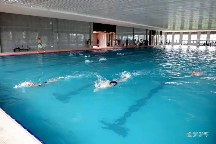 全市首家乡镇室内游泳馆开馆啦