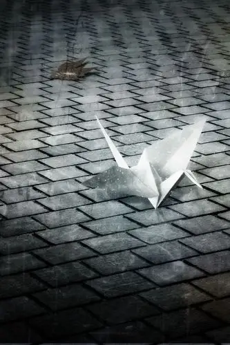 iphone 纸鹤_iphone6壁纸|iphone5壁纸|iphone4s壁纸|ipad2壁纸免费