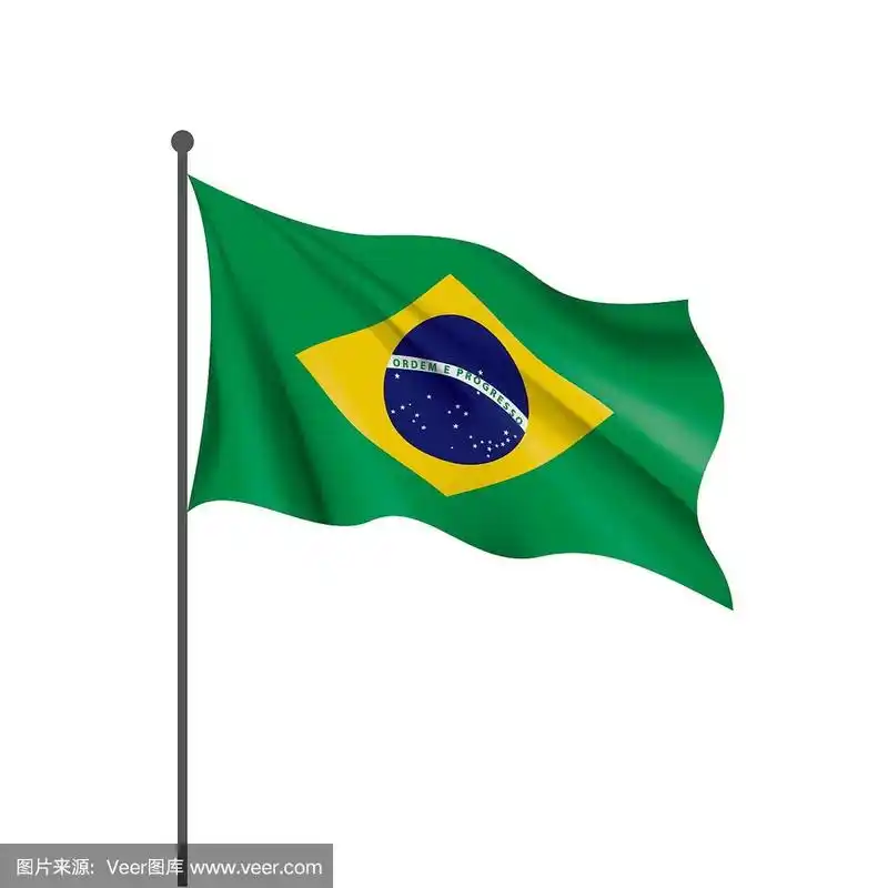 巴西国旗,矢量插图在白色的背景