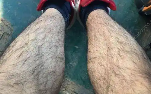 为何有的男性腿毛旺盛,有的却很"光滑"?腿毛少意味着什么?