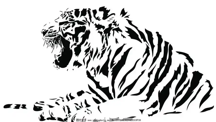 老虎-堆糖,美好生活研究所