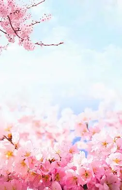 桃花树背景专题模板-桃花树背景图片素材下载-我图网