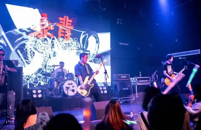 乐队的夏天都有哪些乐队