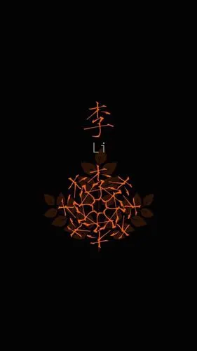 姓氏:李