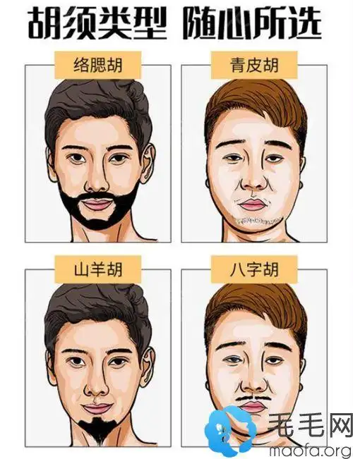 涨姿势种植胡子需要多少毛囊单位价格一般要多少钱