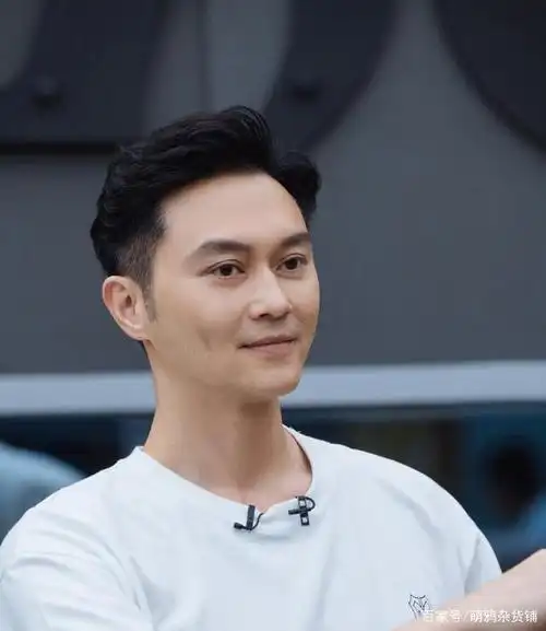 除了美貌,你们对于张智霖的智慧一无所知,大湾区组他是军师担当