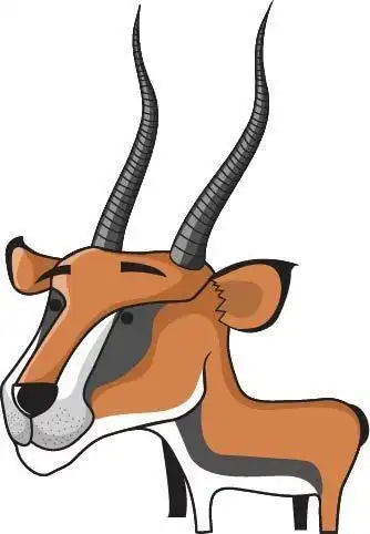 线稿藏羚羊
