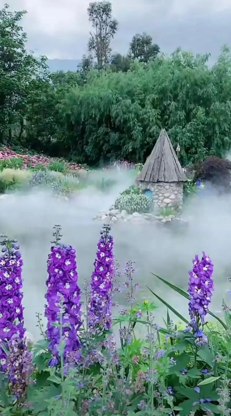 图文壁纸 #治愈系风景 #一花一草一世界 人间仙境醉美大理 - 抖音