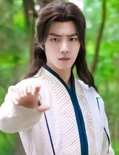 肖战唐三(肖战粉丝太有才,弹幕唐三炖大鹅)-第3张图片-趣盘玩