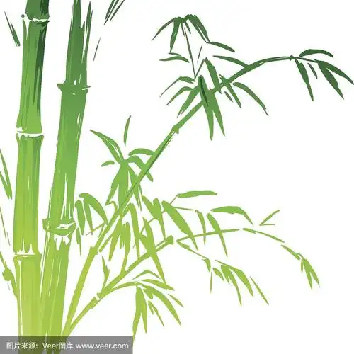 绘画插图,枝,竹子,矢量,水彩画